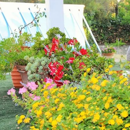 Casa de Férias Villaiale *