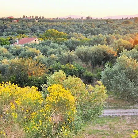 Villaiale