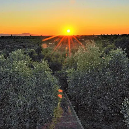 Villaiale Casa de Férias *