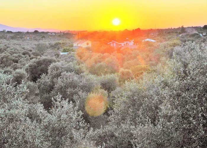 Dom wakacyjny Villaiale