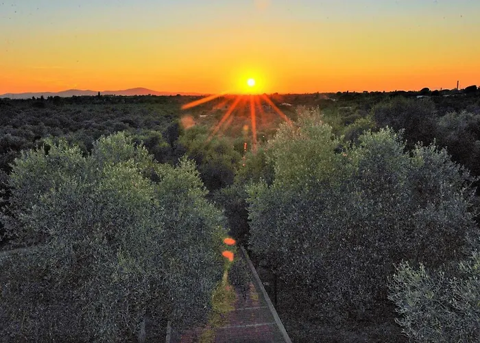 Villaiale Dom wakacyjny *